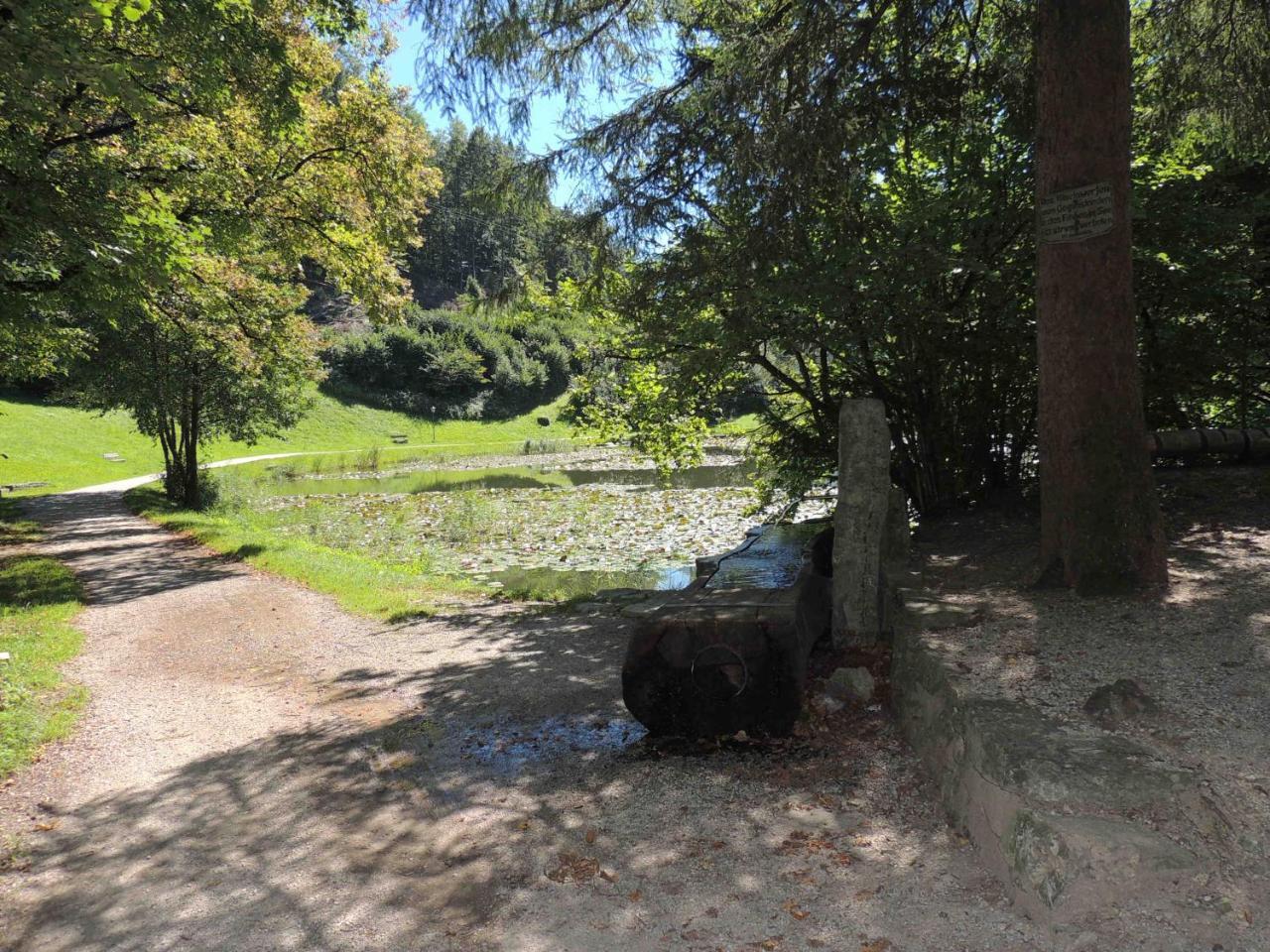 Gaestehaus Reiter Golling an der Salzach Bagian luar foto